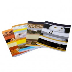 CUADERNO AMÉRICA RAYADO N1 T/FLEX 48 HJS.